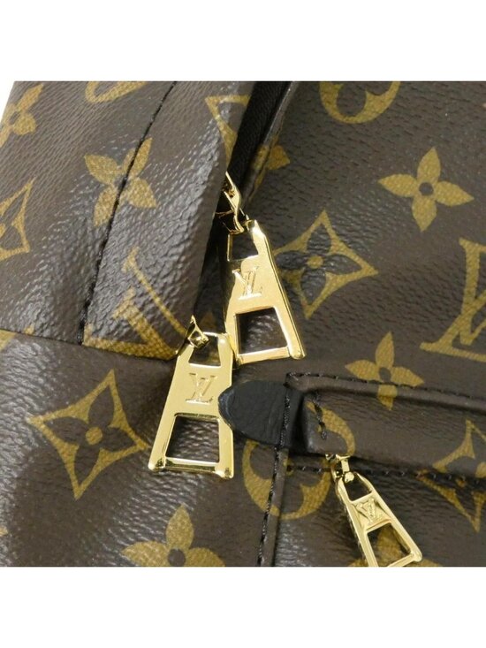 Louis Vuitton Monogram Palm Springs Backpack PM Rucksack